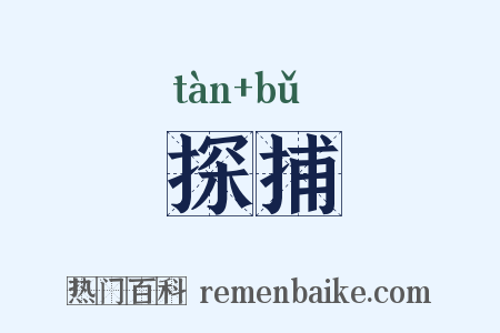 探捕是什么意思的图片